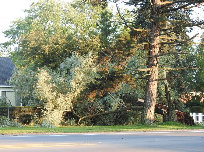 Wind Advisory issued for Northeast Michigan | News, Sports, Jobs - Vimarsana News